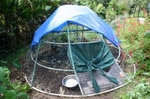 可動式の鶏小屋.jpg