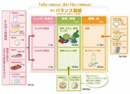食の『バランス型紙』.jpg